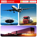 Sea&Air Forwarder Agent/ Freight Forwarder From China to Worldwide